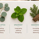 Natural botanical ingredients including eucalyptus, spearmint, and cedarwood.