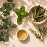 Fresh eucalyptus leaves, peppermint and tea tree displayed as the natural ingredients of Breathe & Reset Essential Oil Roller.