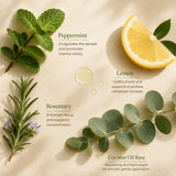 Fresh peppermint, rosemary and lemon displayed as the botanical ingredients of Focus Fuel Essential Oil Roller.