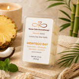 Montego Bay Luxury Soy Wax Melts by Nurse Calm Aromatherapy featuring spearmint, pineapple, bamboo, and coconut fragrance notes in premium clamshell packaging.