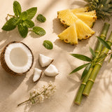 Flat lay featuring fresh pineapple, coconut, bamboo leaves, and spearmint representing the tropical fragrance profile of Montego Bay.