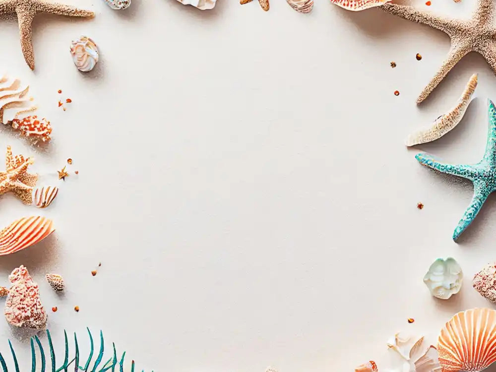 A decorative border of various seashells and starfish on a light background.