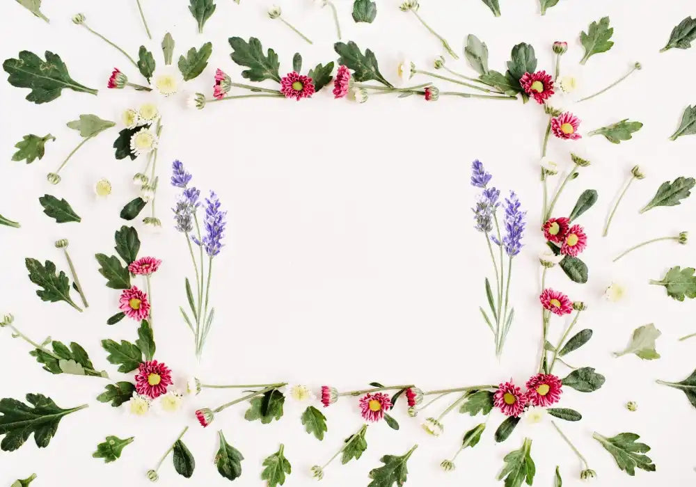 Floral frame with two lavender sprigs on white background